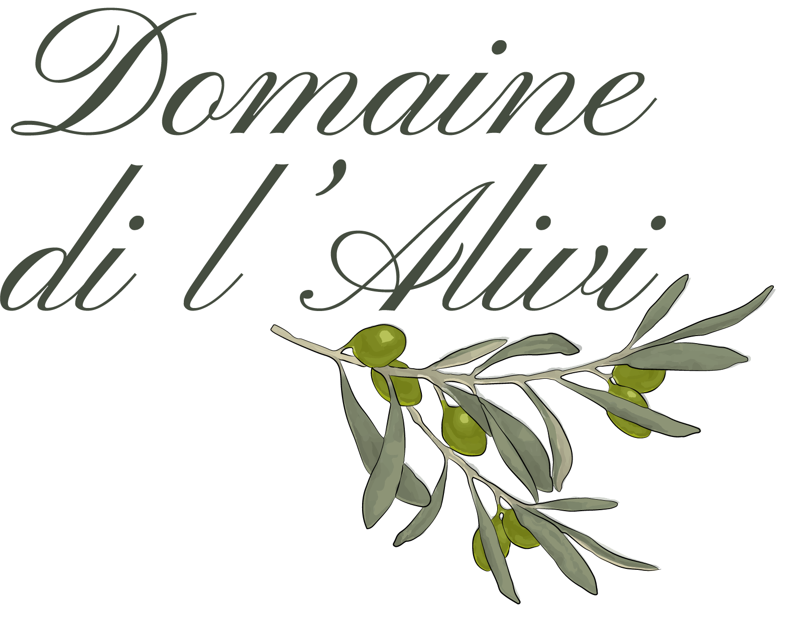 Domaine di l'alivi